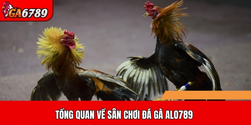 Tổng quan về sân chơi đá gà ALO789