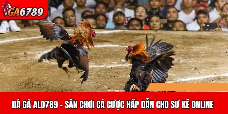 đá gà ALO789