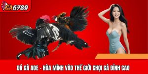 Đá gà AOE