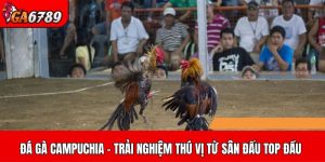 Đá gà Campuchia