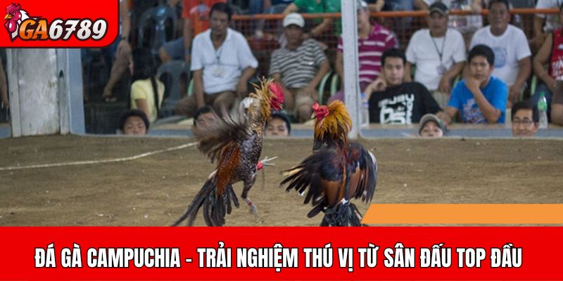 Đá gà Campuchia