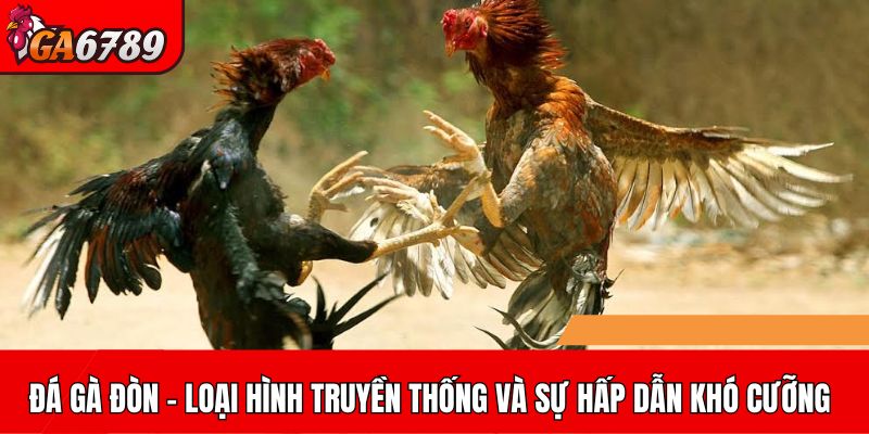 Đá gà đòn