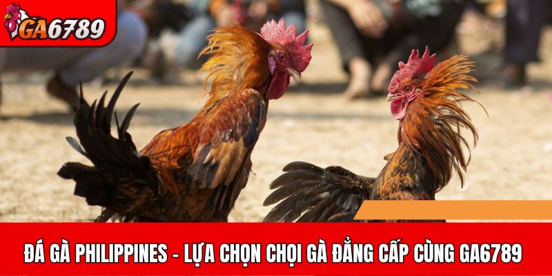 Đá gà Philippines