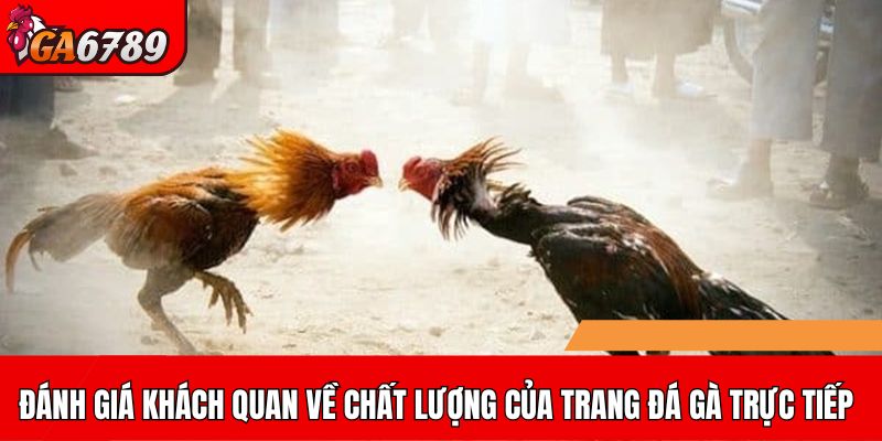 Đánh giá khách quan về chất lượng của trang đá gà trực tiếp